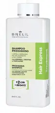 Hair Express Treatment Shampoo