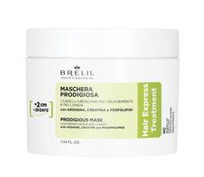 Hair Express Mask