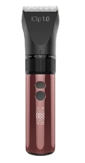 iClip 1.0.